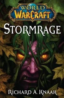 Richard A. Knaak Stormrage обложка книги