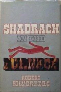 Robert Silverberg Shadrach in the Furnace обложка книги