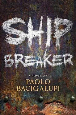 Paolo Bacigalupi Ship Breaker обложка книги