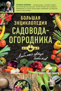 Галина Кизима Большая энциклопедия садовода-огородника от А до Я обложка книги