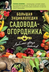 Галина Кизима - Большая энциклопедия садовода-огородника от А до Я