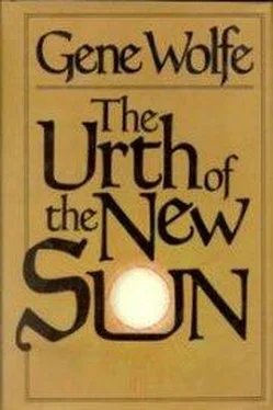 Gene Wolfe The Urth of the New Sun обложка книги