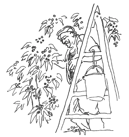 День Первого мая начался с отличного восхода как и положено государственному - фото 7