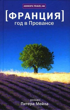 Питер Мейл Год в Провансе обложка книги