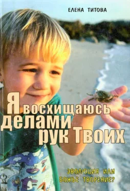 Елена Титова «… я восхищаюсь делами рук Твоих» обложка книги