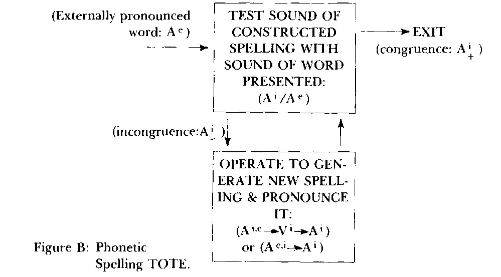 The phonetic speller tests the spelling she has constructed by finding out if - фото 11