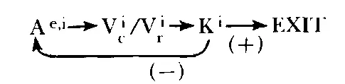 This shows that the individual inputs auditorily by listening to the word - фото 12