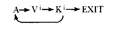 This indicates that for spelling the individual begins auditorily whether - фото 13