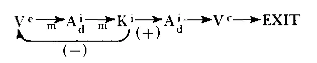 In this strategy the person would begin by looking externally at the - фото 42