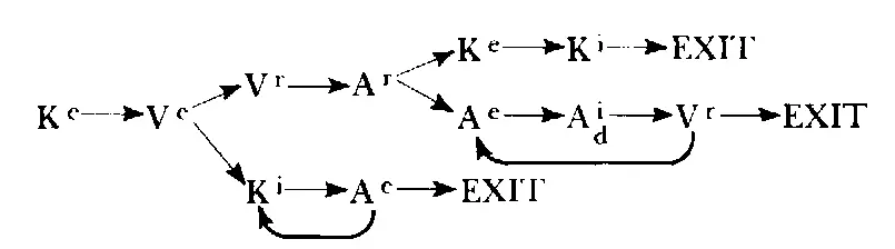 In this strategy V eand A rare both decision points The outcome of this - фото 48