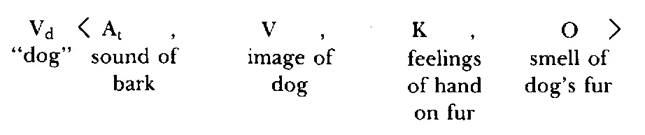 T his shows that the letters dog anchor a particular set of representations - фото 51