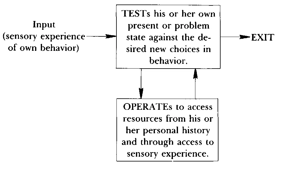 The client must also have a way to test his own progress so that he may - фото 59