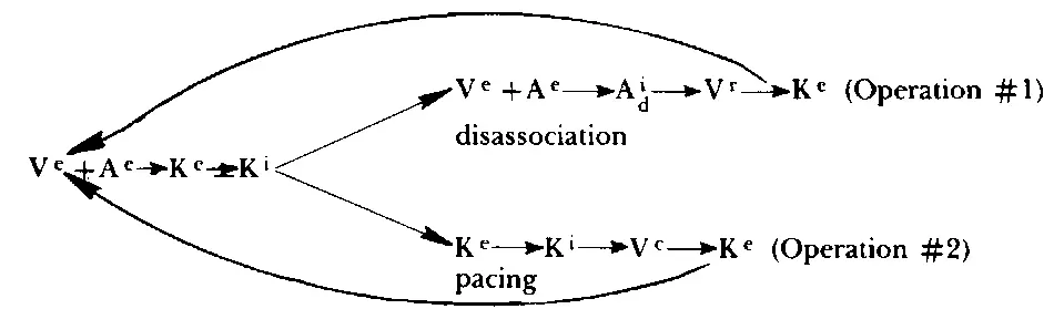 The author noted that as the therapist discussed this strategy her posture was - фото 60