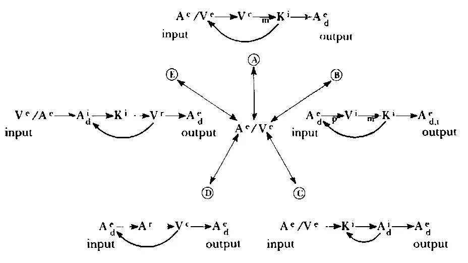 b by eliciting an appropriate strategy from the individuals personal history - фото 75