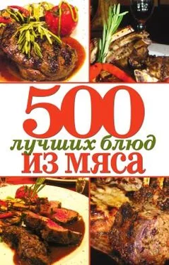 Михаил Зубакин 500 лучших блюд из мяса обложка книги