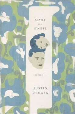 Justin Cronin Mary and O’Neil обложка книги