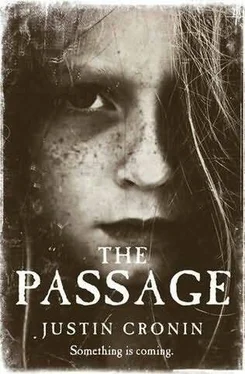 Justin Cronin The Passage обложка книги