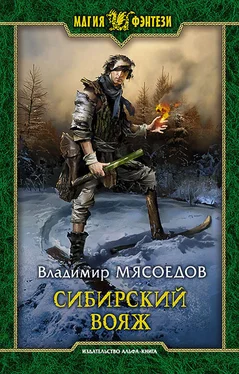 Владимир Мясоедов Сибирский вояж обложка книги