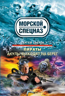 Сергей Зверев Акулы выходят на берег обложка книги