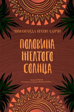 Чимаманда Адичи Половина желтого солнца обложка книги