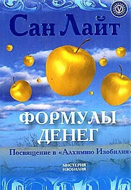 Сан Лайт Формулы денег обложка книги