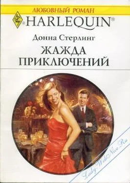 Донна Стерлинг Жажда приключений обложка книги