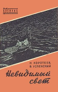 Николай Коротеев Невидимый свет обложка книги