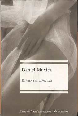 Daniel Muxica El vientre convexo обложка книги