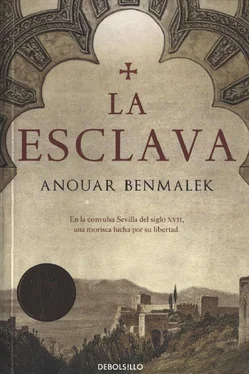 Anouar Benmalek La esclava обложка книги