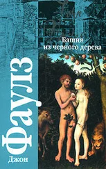 Джон Фаулз - Башня из черного дерева