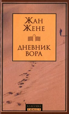 Жан Жене Дневник вора обложка книги