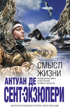 Антуан де Сент-Экзюпери Смысл жизни обложка книги