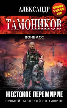 Александр Тамоников Жестокое перемирие обложка книги