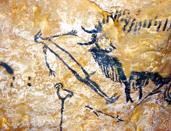 8 A painting from Lascaux Cave c 1500020000 years ago What exactly do - фото 9