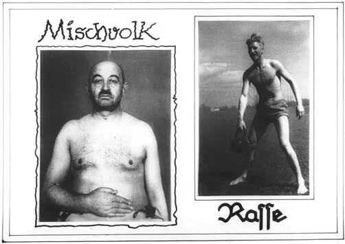 30 A Nazi propaganda poster showing on the right a racially pure Aryan and - фото 44