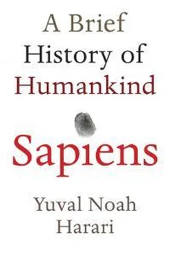 Юваль Ной Харари Sapiens: A Brief History of Humankind обложка книги