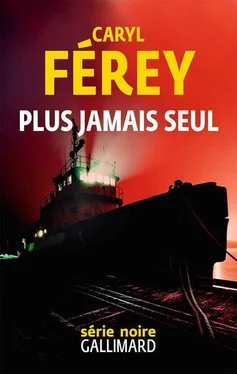 Caryl Férey Plus jamais seul обложка книги