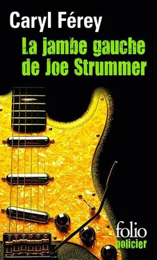 Caryl Férey La jambe gauche de Joe Strummer обложка книги