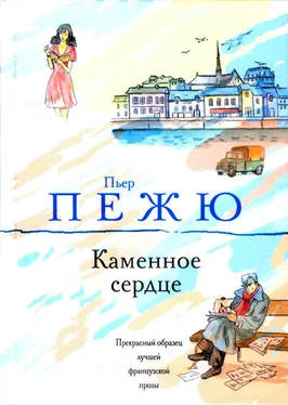 Пьер Пежю Каменное сердце обложка книги