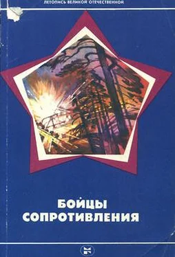 Николай Пронин Бойцы Сопротивления обложка книги