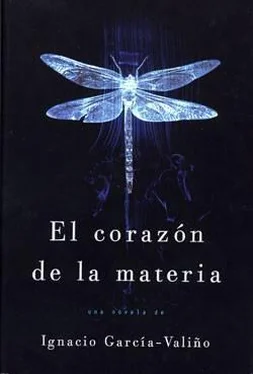 Ignacio García-Valiño El Corazón De La Materia обложка книги