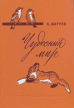 Андрей Батуев Чудесный мир обложка книги