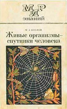 М. Козлов Живые организмы-спутники человека обложка книги