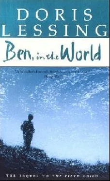 Doris Lessing Ben, in The World обложка книги