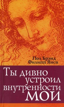 Пол Брэнд Ты дивно устроил внутренности мои обложка книги