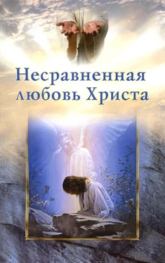 Рой Андерсон Несравненная любовь Христа обложка книги