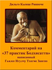 Дильго Кьенце - Комментарий на «37 практик Бодхисаттв»