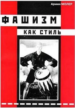 Армин Молер Фашизм как стиль обложка книги