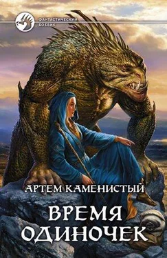 Артём Каменистый Время одиночек обложка книги