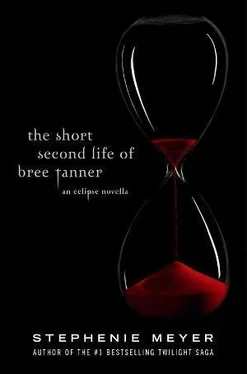 Stephenie Meyer The Short Second Life of Bree Tanner обложка книги